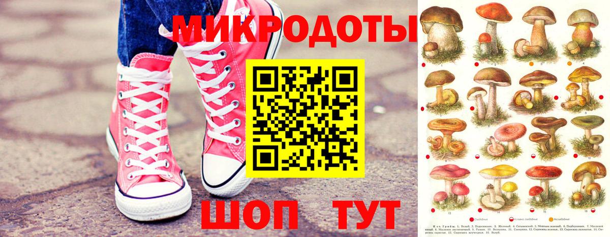 Галлюциногенные грибы Magic Shrooms  Вход с VPN  Ноябрьск 