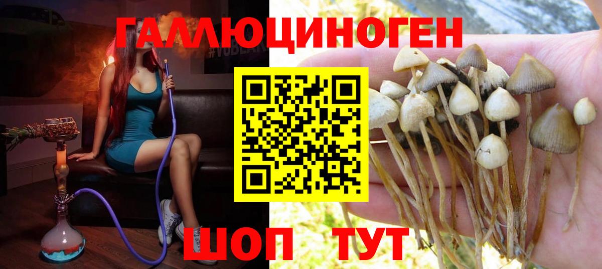 Галлюциногенные грибы мицелий Ноябрьск